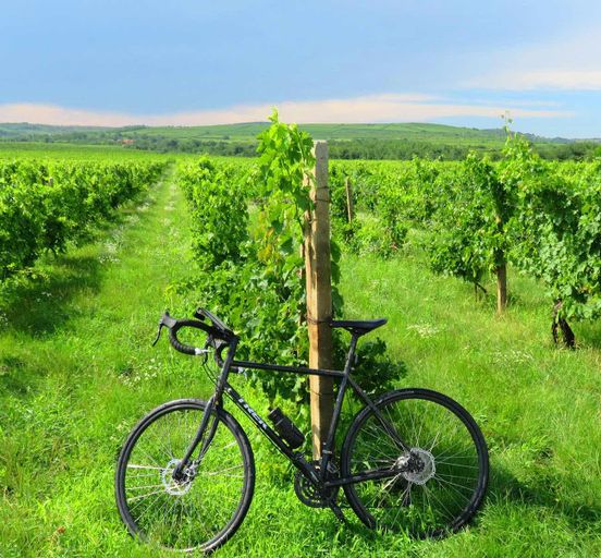 Wine Route by Bike