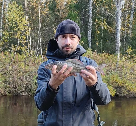 Grayling fishing in the rivers of the northern region