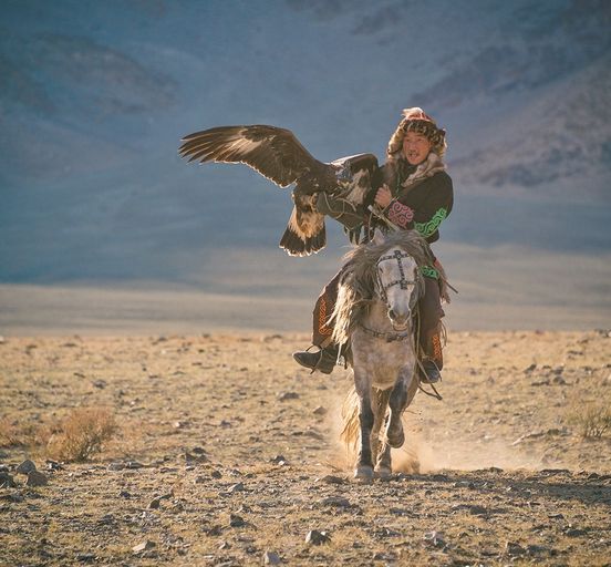 Amazing Mongolia 
