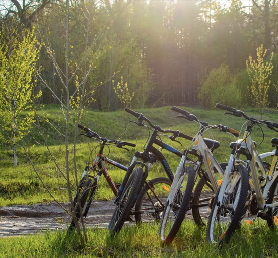 BIKE TOUR THROUGH THE FORESTS AND LAKES OF MARI EL