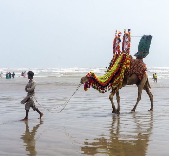 Pakistan. Main sights and the Indus Valley civilizations