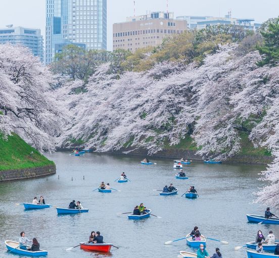 Spring in Japan and South Korea