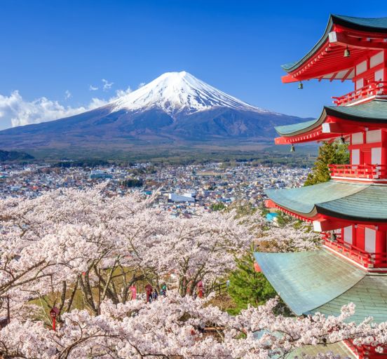 Japan. Iconic sights during the sakura blossom season