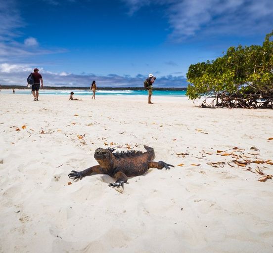 All wonders of Galapagos islands in Ecuador