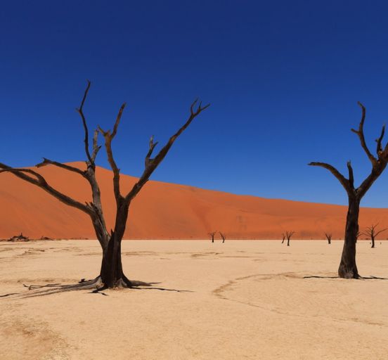 Намибия. Племена, национальный парк Этоша, пустыня Намиб и пляжи