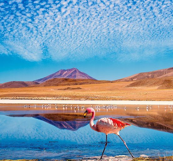 PERU+BOLIVIA: A trip to the heart of South America