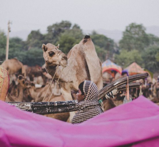 Al Ain &amp; Desert Safari 2Days/ 1Night