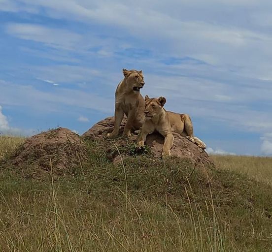 9 Days Best of Kenya Safari
