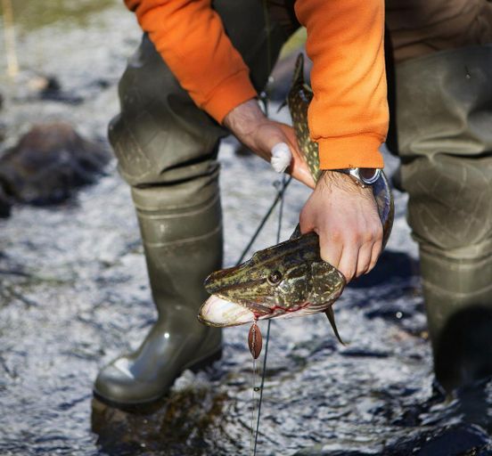 Big fishing tour, 8 days, takes place on any date