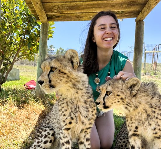 South Africa: Cape Town, cheetahs, wineries and safaris