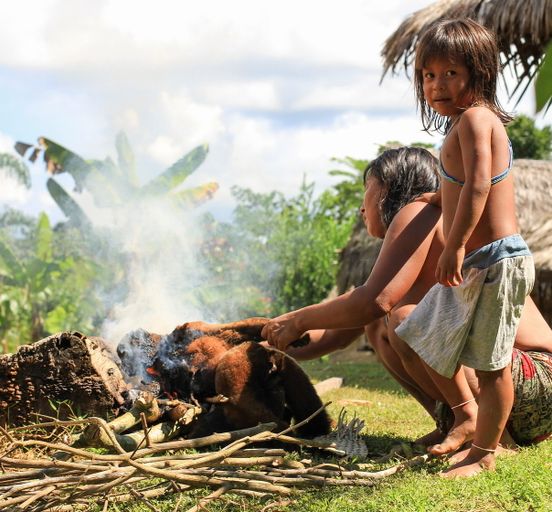 АМАЗОНИЯ: Этно-экспедиция с ученым-этнологом к людям-ягуарам