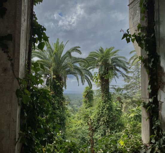 Vacations in Abkhazia