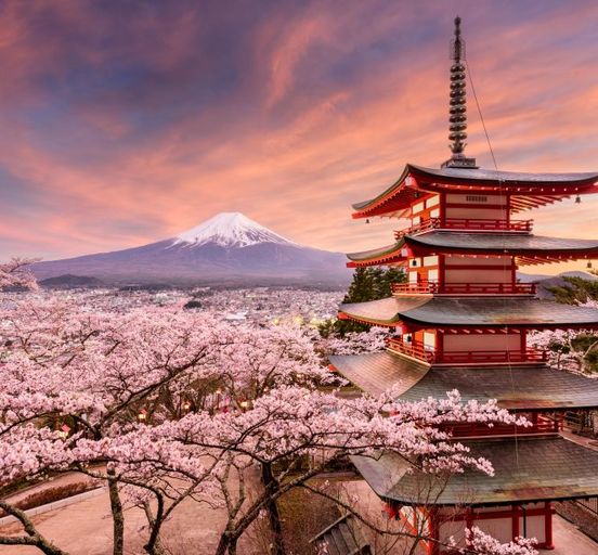 Sakura blossoms in Japan
