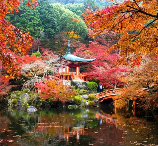 Bright autumn. Momiji season.