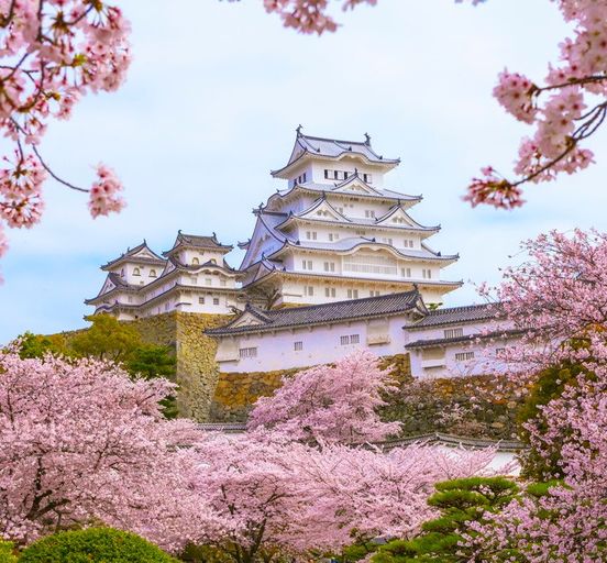 Japan: eternally beautiful sakura