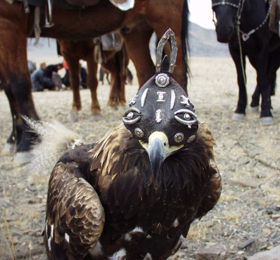 Mongolian Eagle Festival and Mongol Els Desert