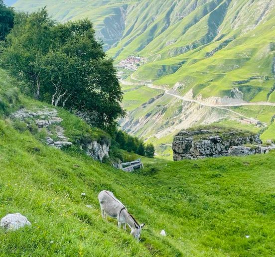 Тур Неделя в Дагестане 7 дней/6 ночей