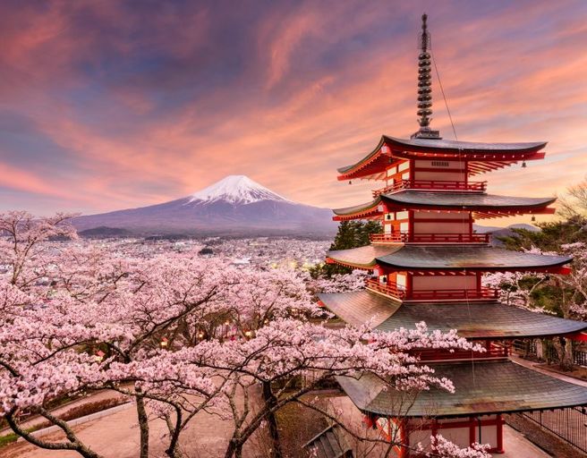 Тур Цветение сакуры в Японии - Фудзияма (Экскурсионный) 15 – 25 марта 2025  по цене от 3 900 $ · YouTravel.Me