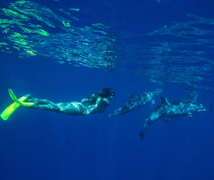 Маврикий: тропический сон наяву