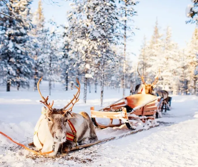 Новогодние приключения на Русском Севере