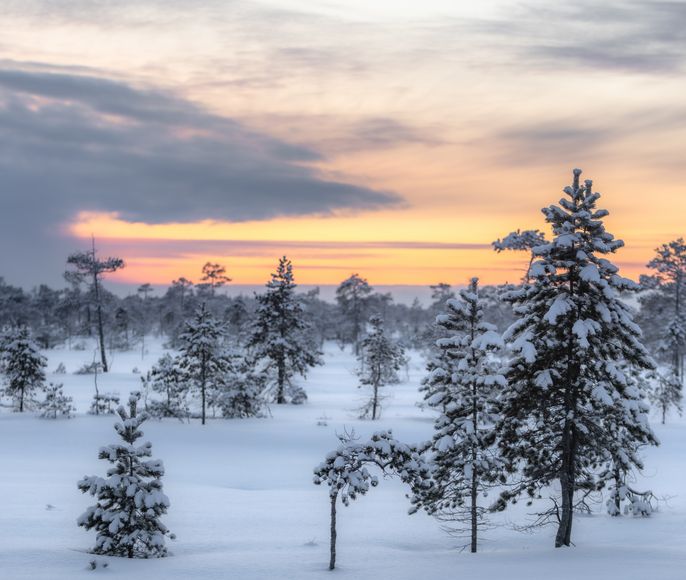 Онежское Поморье: чудеса первозданной природы севера