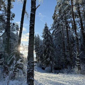 Мультитур Берегами Волги с проживанием в домиках Старица, Тверская область