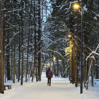 Поход в Подушкинский лес и парк Малевича, Одинцово