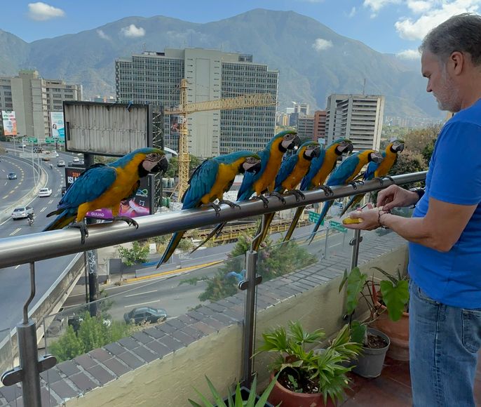 Венесуэла - большое путешествие в затерянные миры