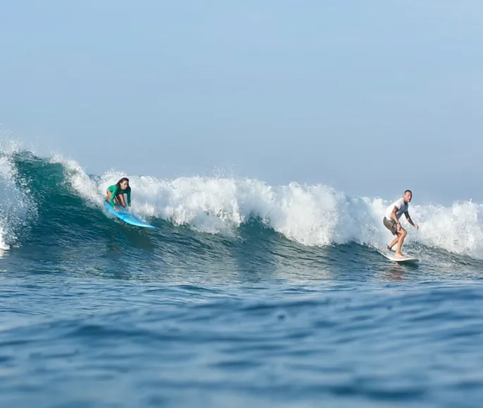 Улётный Серф-кэмп Шри-Ланка. Серфинг+экскурсии. 13 дней