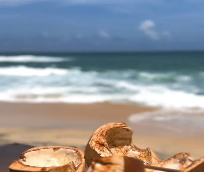 Шри-Ланка. Surf Camp