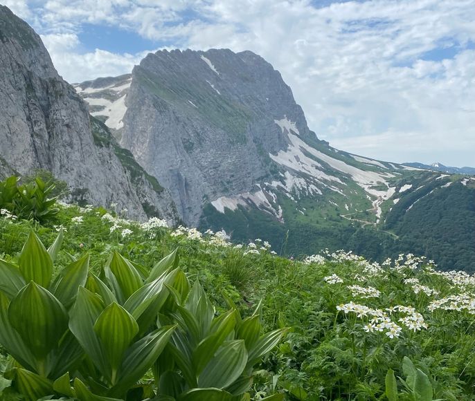 Ретрит в горах Адыгеи с походами: Пшеха-Су