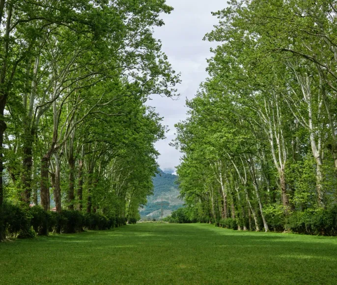 Велотур в Грузии Mountain view