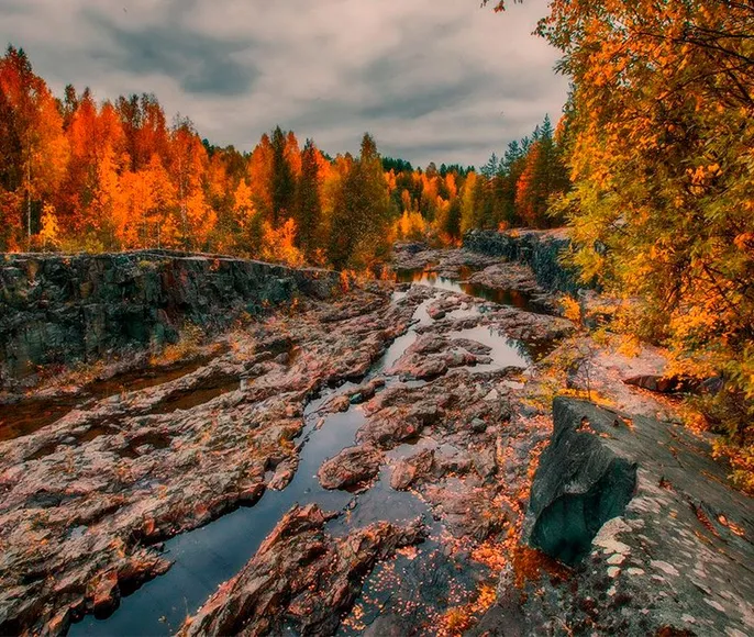 Карельские выходные Целебные источники, природа, Спа и не только!