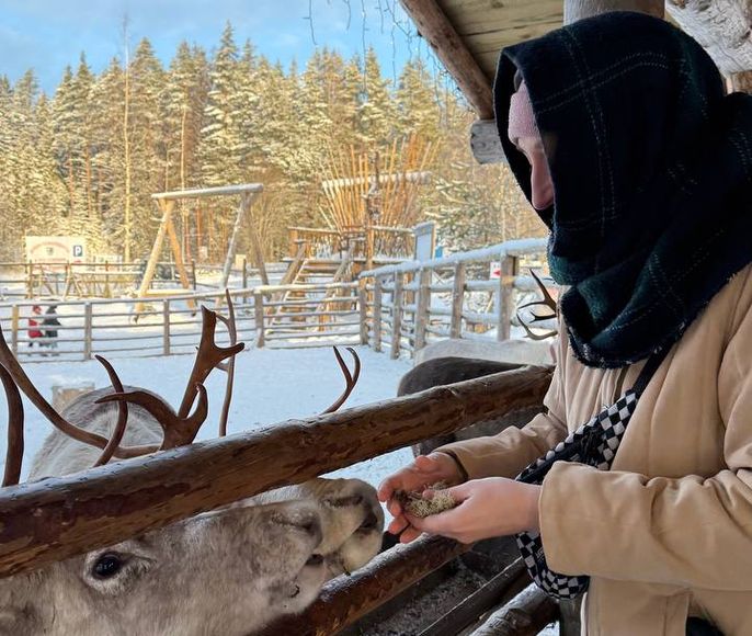 Новый год в Карелии