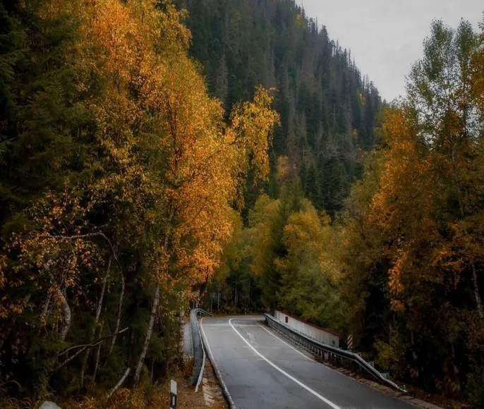 Тур Домбай 3 дня: природа на Кавказе