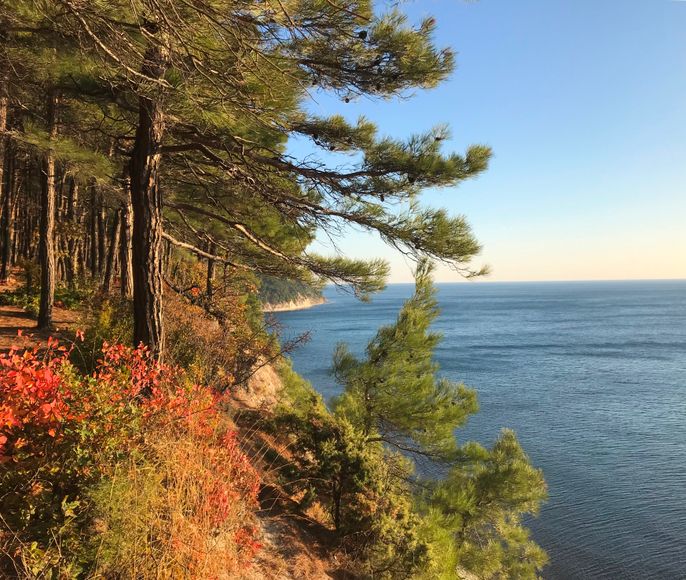 Обзорная экскурсия по Геленджику и окрестностям