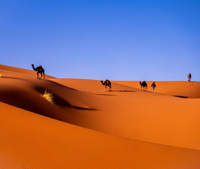 Марокко: путешествие через Сахару к кино-локациям