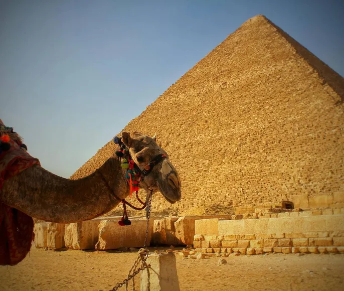 Египет. От пирамид до кораллов.