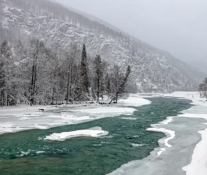 Алтай зимний