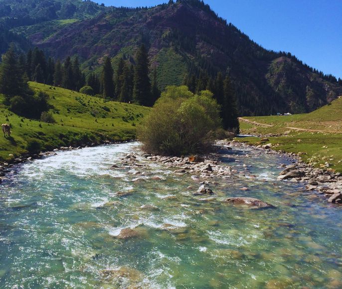 Природа Кыргызстана