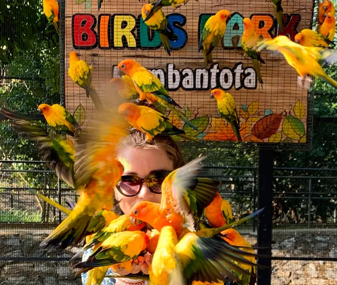 Йога ретрит на Шри Ланке