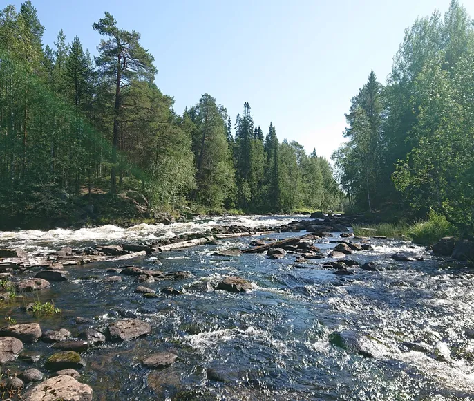 Сплав по реке Кереть с выходом в Белое море
