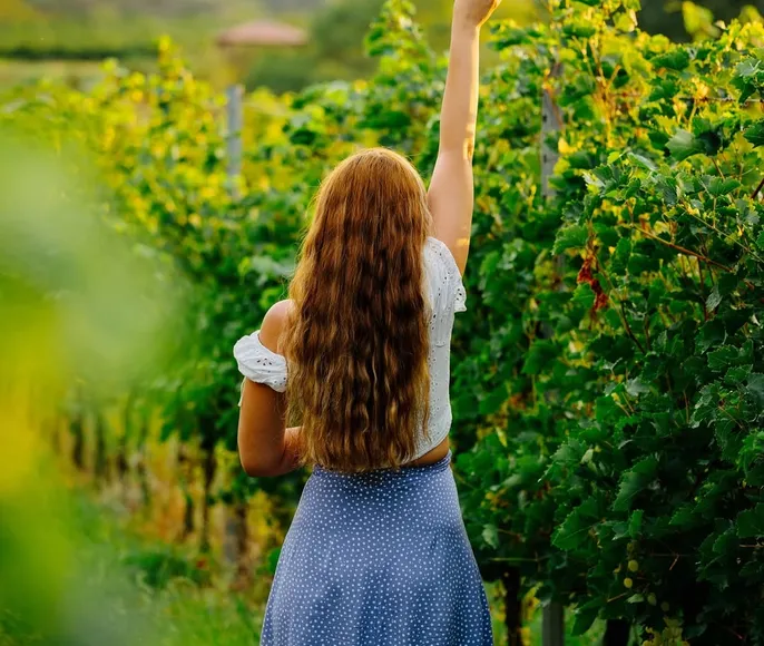 Майские каникулы в Азербайджане / 8 дней 7 ночей