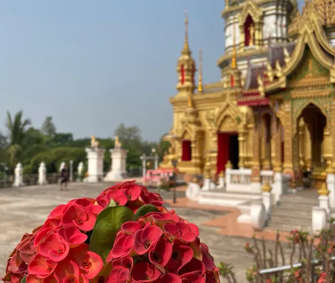 Мототур по Северному Таиланду - 7 дней, 1864 поворота приключений, февраль 2026