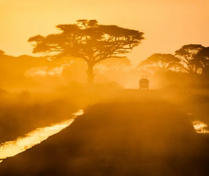 Южная Африка: Туда и Обратно