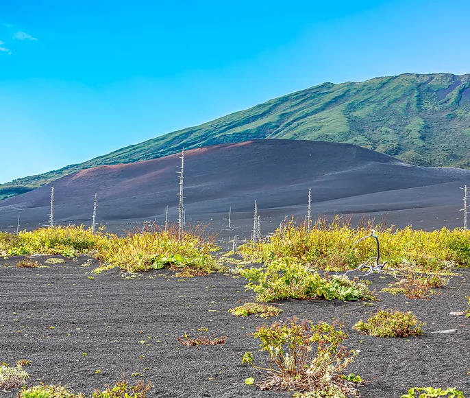 Невероятные Курилы: Кунашир, Шикотан и Хабомаи. Путешествие на другую планету