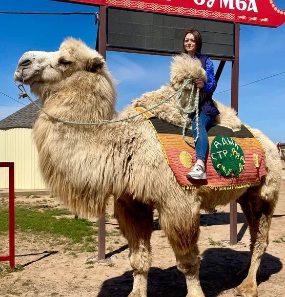 Калмыкия Фестиваль тюльпанов