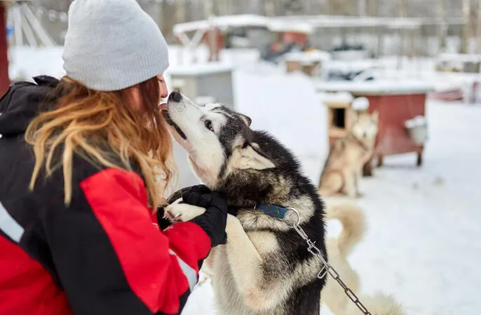 Февральская симфония в Карелии