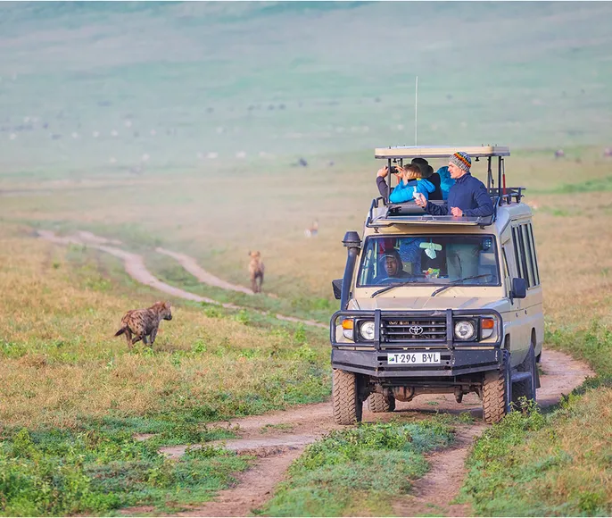 Джип-Сафари По Танзании И Отдых На Занзибаре