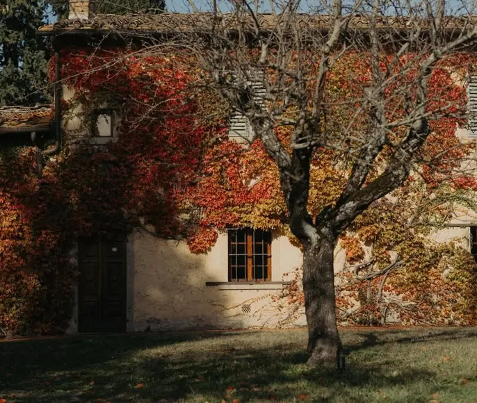 Винная Тоскана все включено